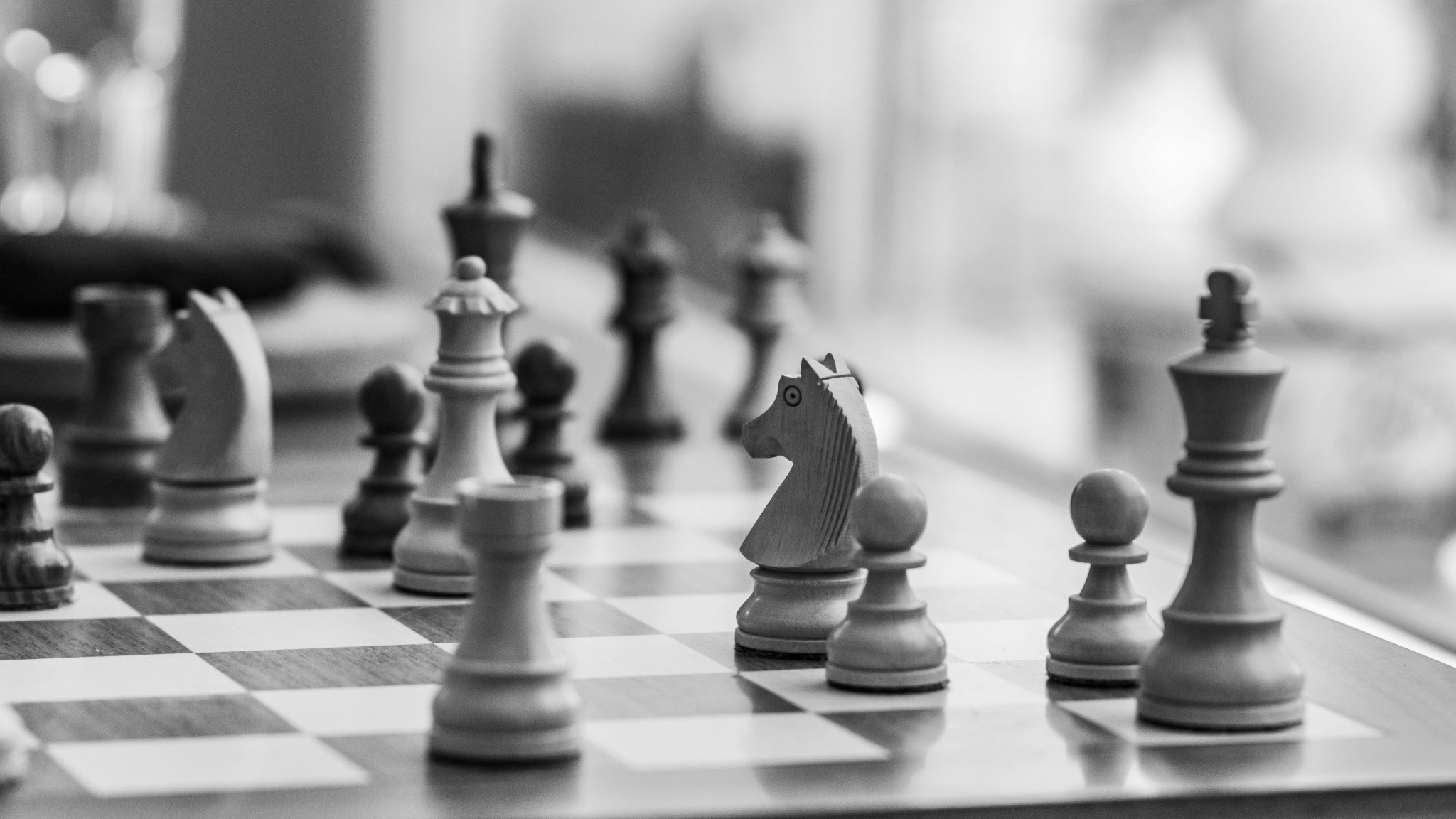 How to Start a Match: Opening Strategy for Match Anglers